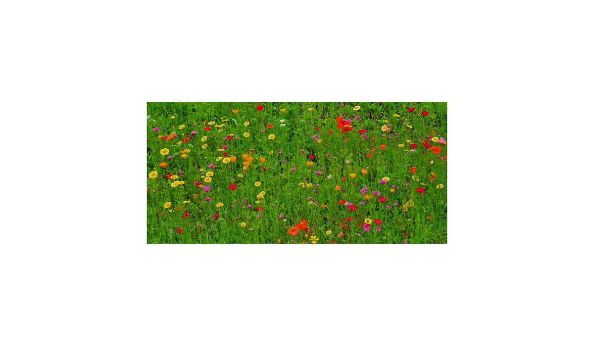 Gift box / Present set: Blossoming cooperation