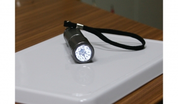 LED MegaBeam Sicherheitslampe PocketSecurity silber