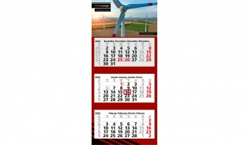3-month calendar 2025 Maxi 3 Standard
