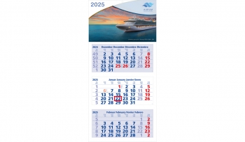 3-month calendar 2025 Medium Light 3 Standard