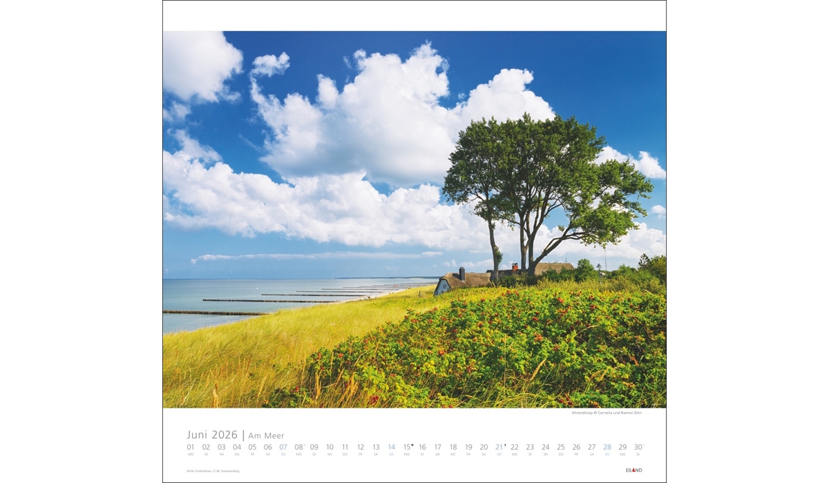 advertising calendar: Near The Sea 2026
