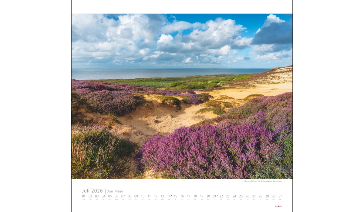 advertising calendar: Near The Sea 2026