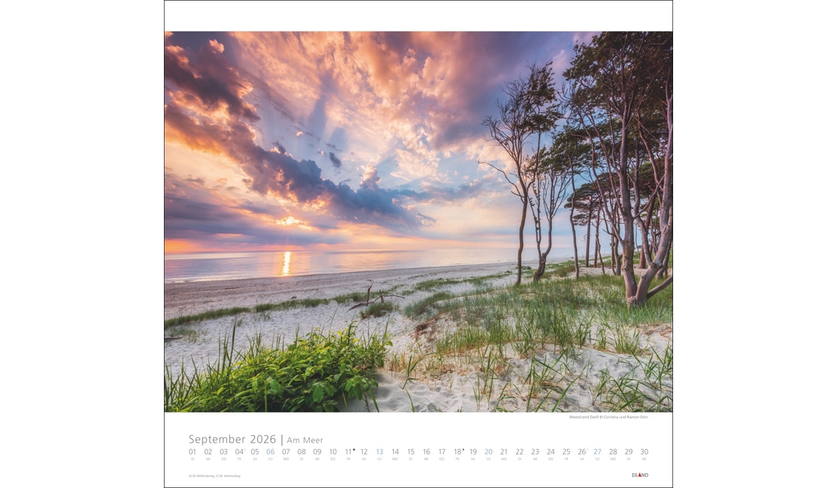 advertising calendar: Near The Sea 2026
