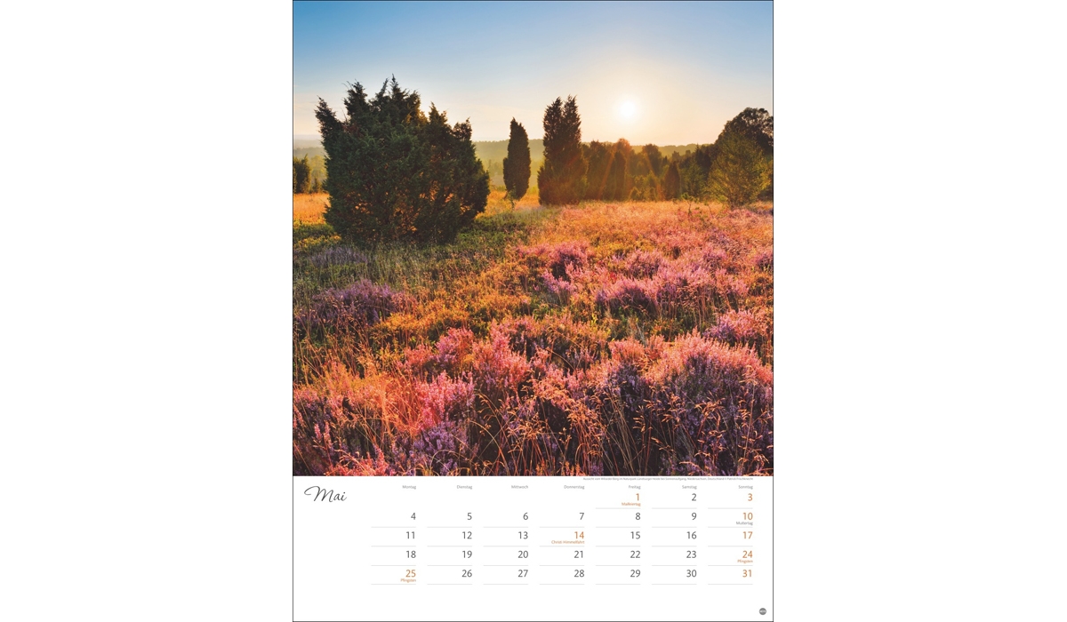 advertising calendar: Beyond the Haste Poster Calendar 2026