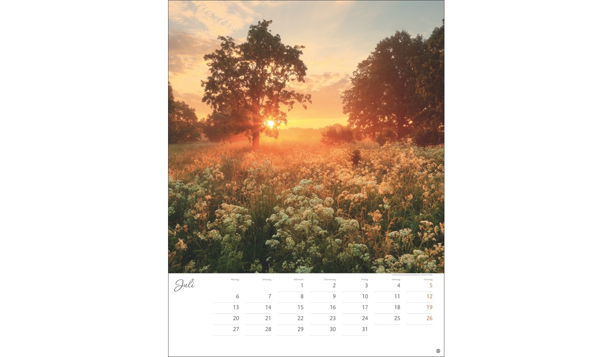advertising calendar: Beyond the Haste Poster Calendar 2026