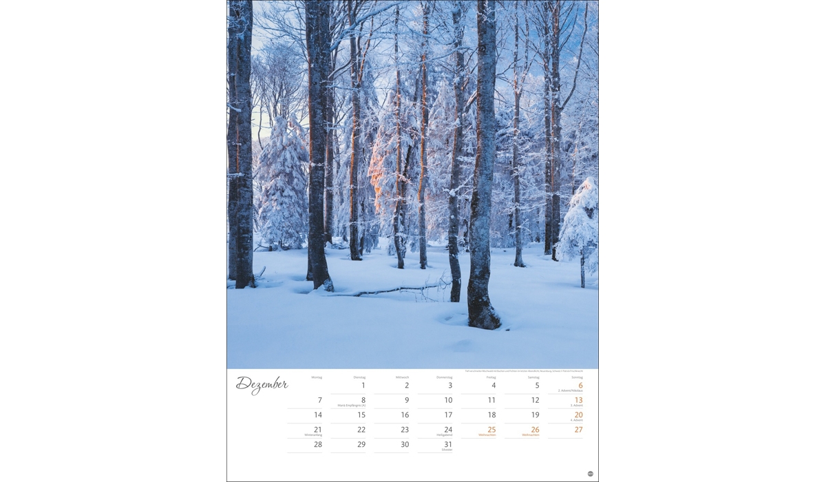 advertising calendar: Beyond the Haste Poster Calendar 2026
