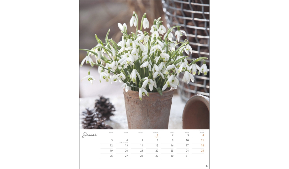 advertising calendar: Colorful flower magic poster calendar 2026