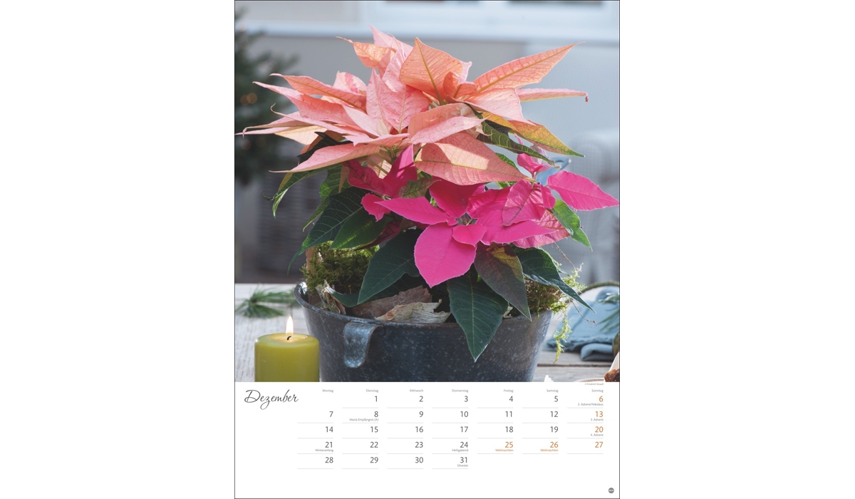 advertising calendar: Colorful flower magic poster calendar 2026