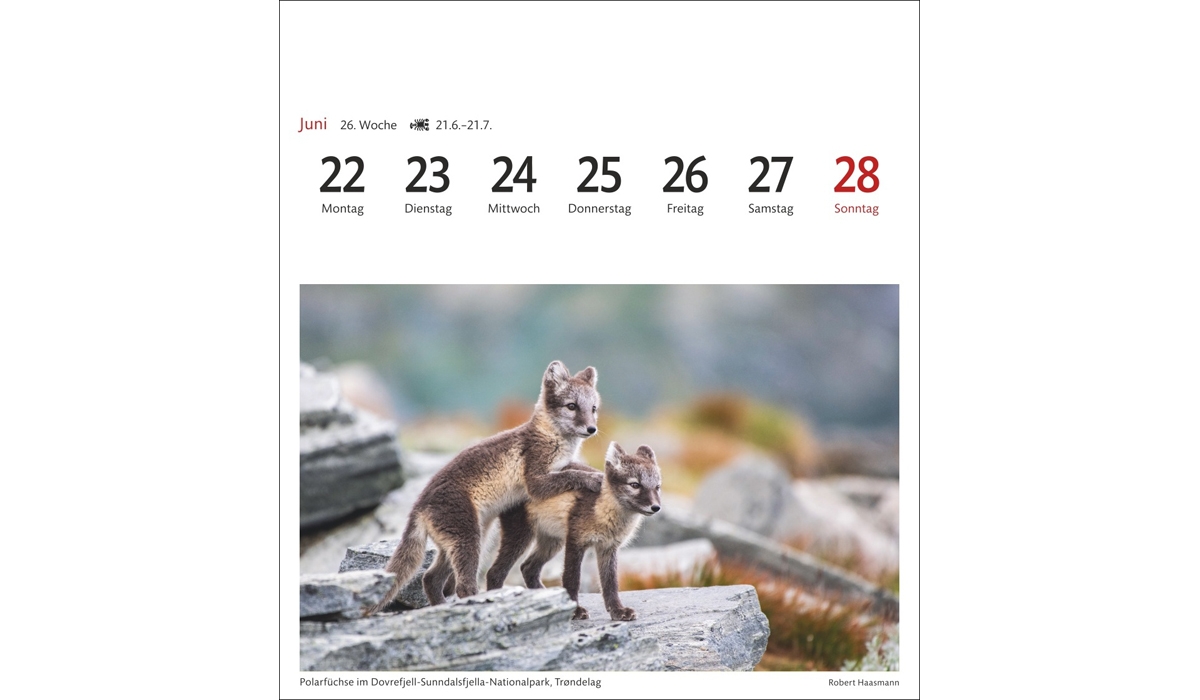 advertising calendar: Norway Postcard Calendar 2026