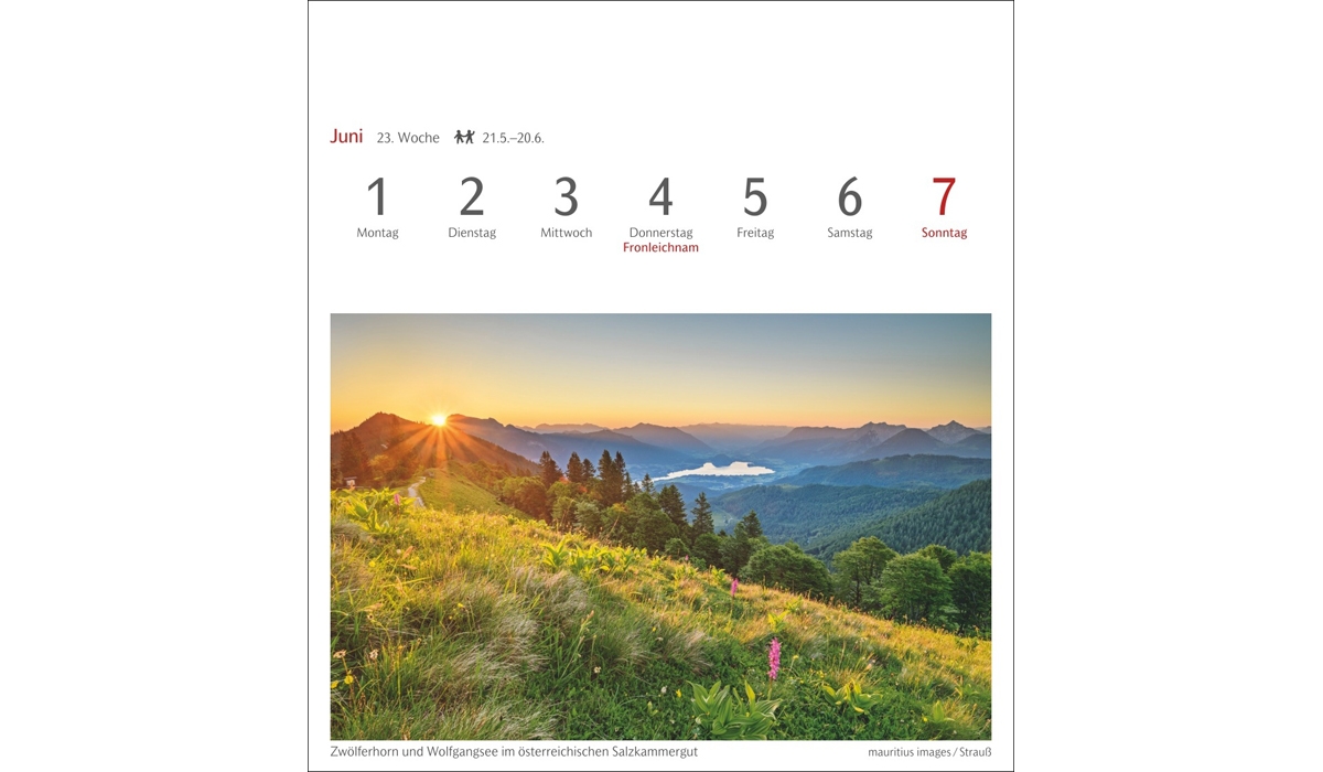 advertising calendar: Reviews of postcard calendar 2026