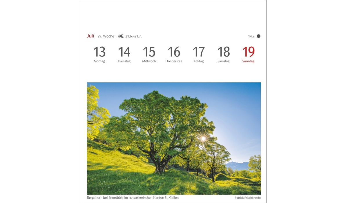 advertising calendar: Reviews of postcard calendar 2026
