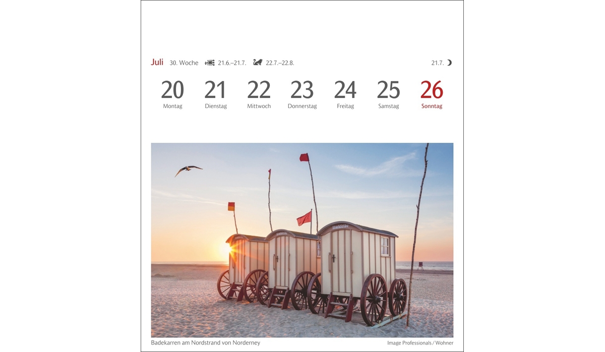 advertising calendar: Reviews of postcard calendar 2026