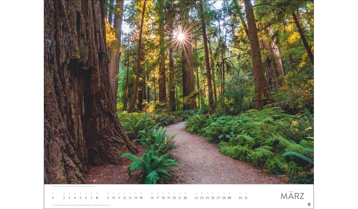 advertising calendar: On Dream Paths 2026