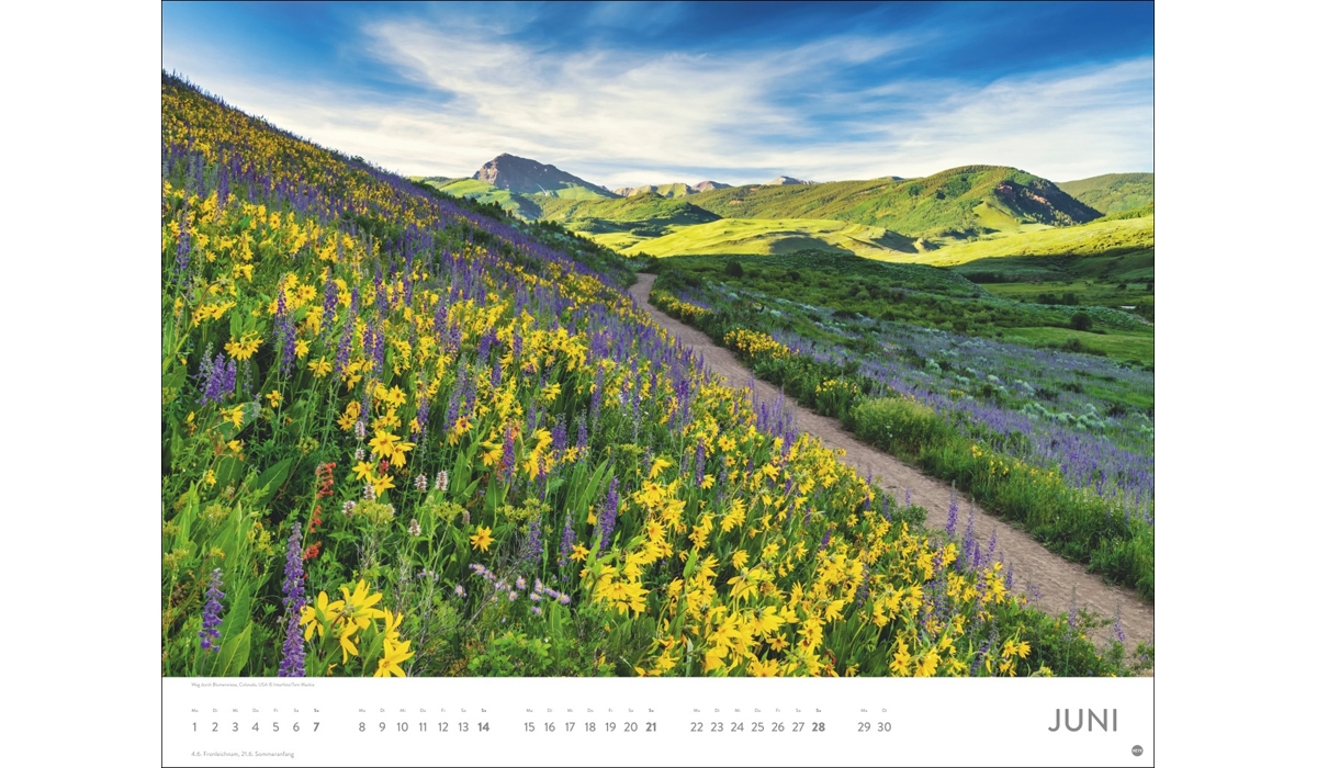 advertising calendar: On Dream Paths 2026