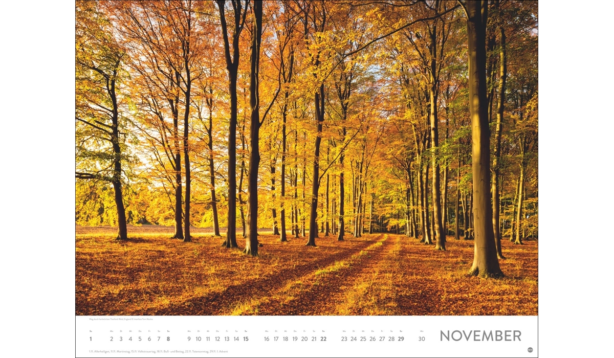 advertising calendar: On Dream Paths 2026