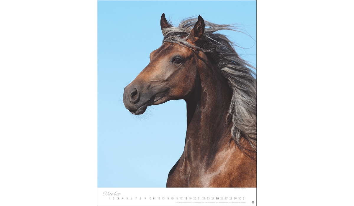 advertising calendar: Horses Classics Poster Calendar 2026