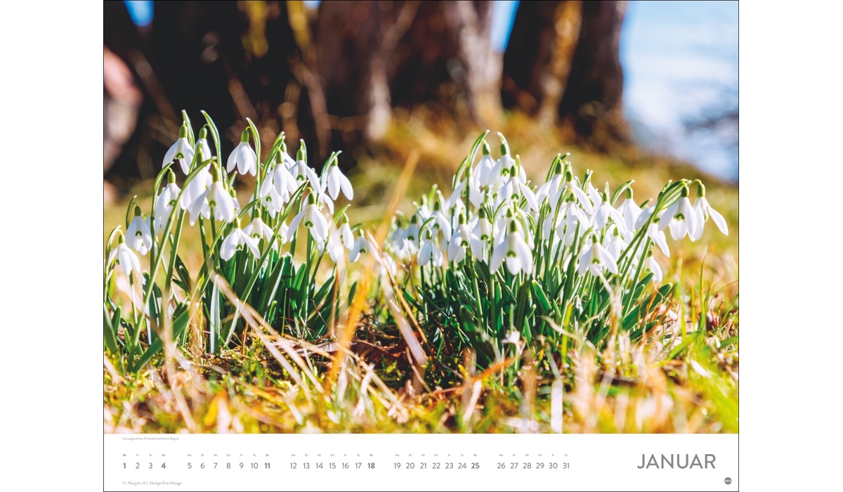 advertising calendar: Sea of flower poster calendar 2026