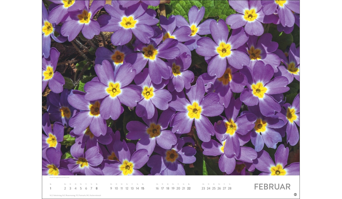 advertising calendar: Sea of flower poster calendar 2026