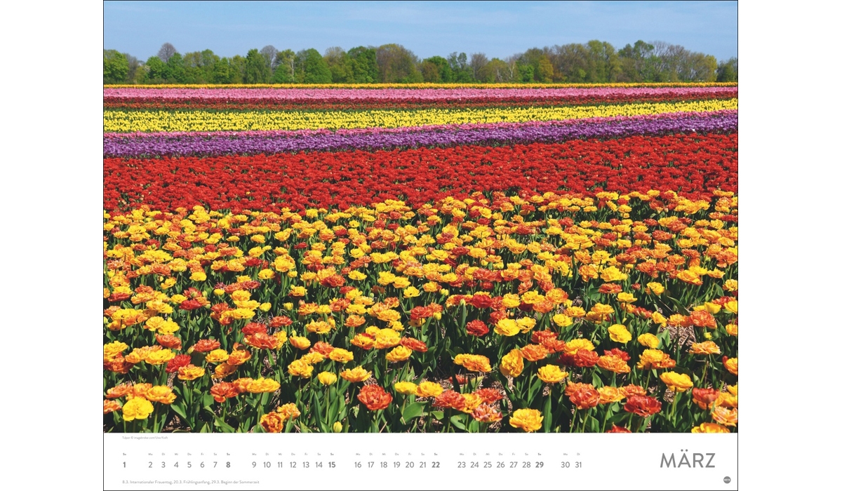 advertising calendar: Sea of flower poster calendar 2026