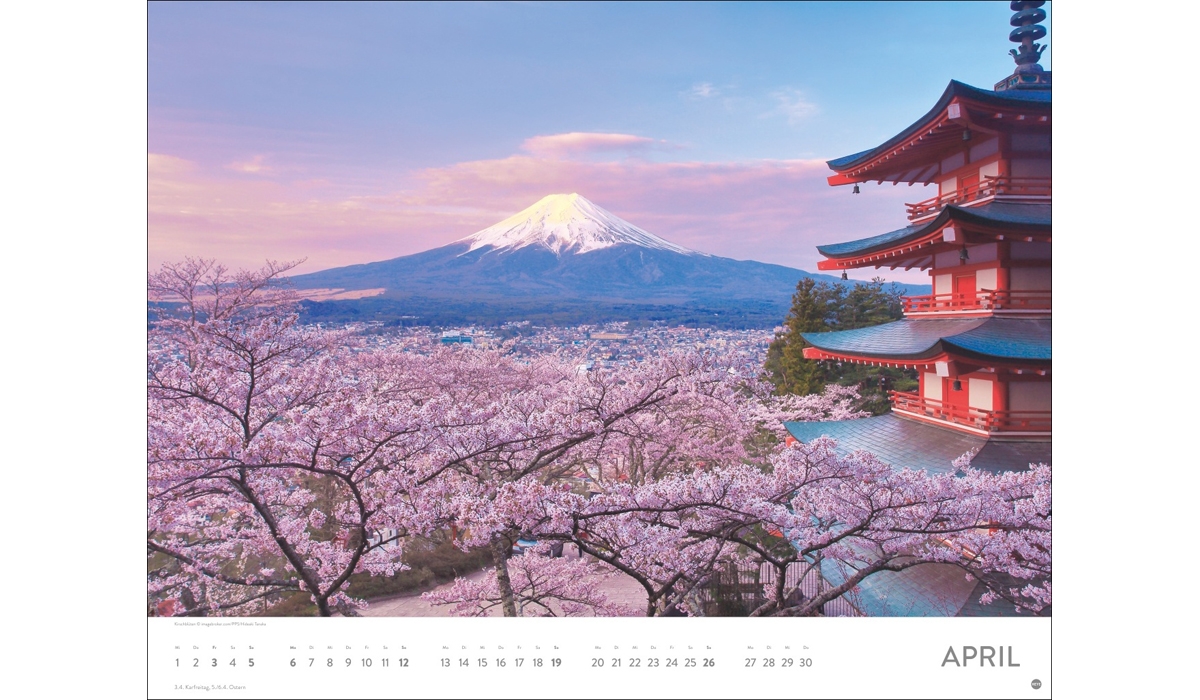 advertising calendar: Sea of flower poster calendar 2026