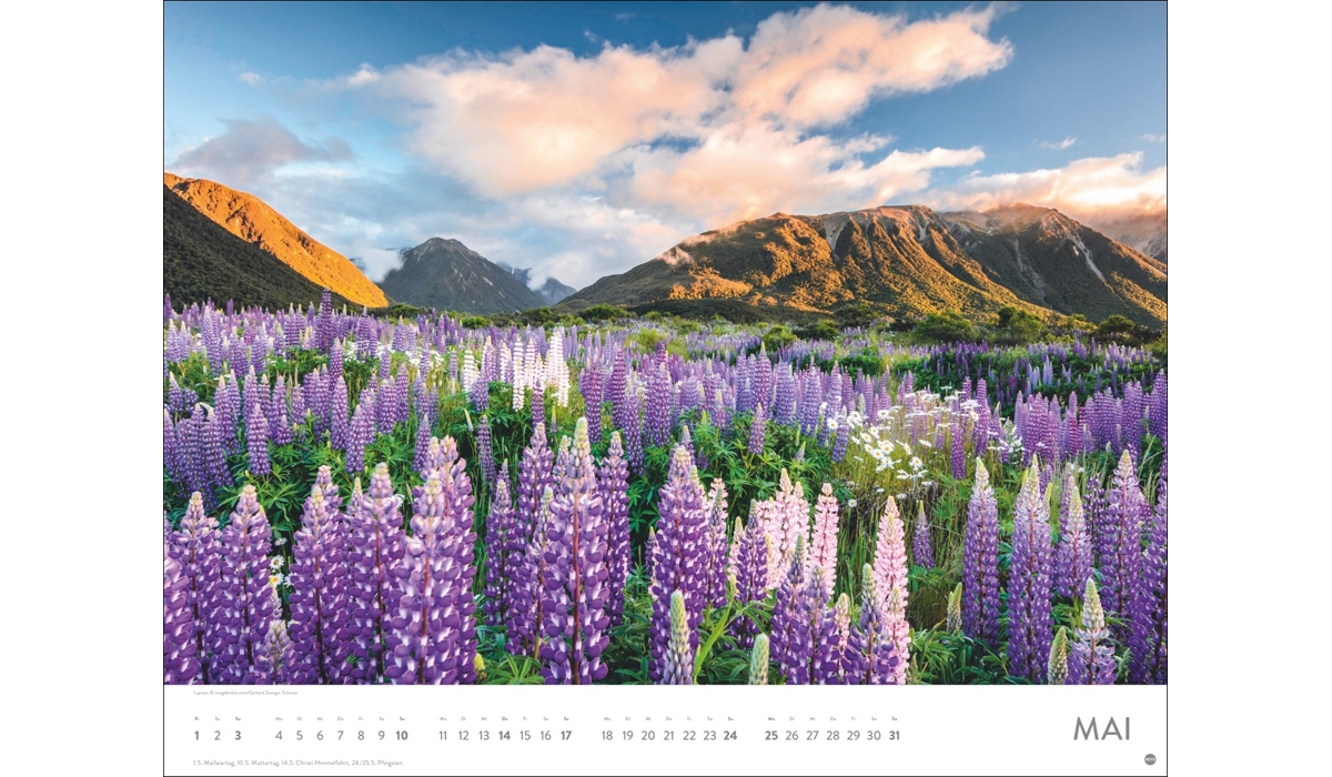 advertising calendar: Sea of flower poster calendar 2026