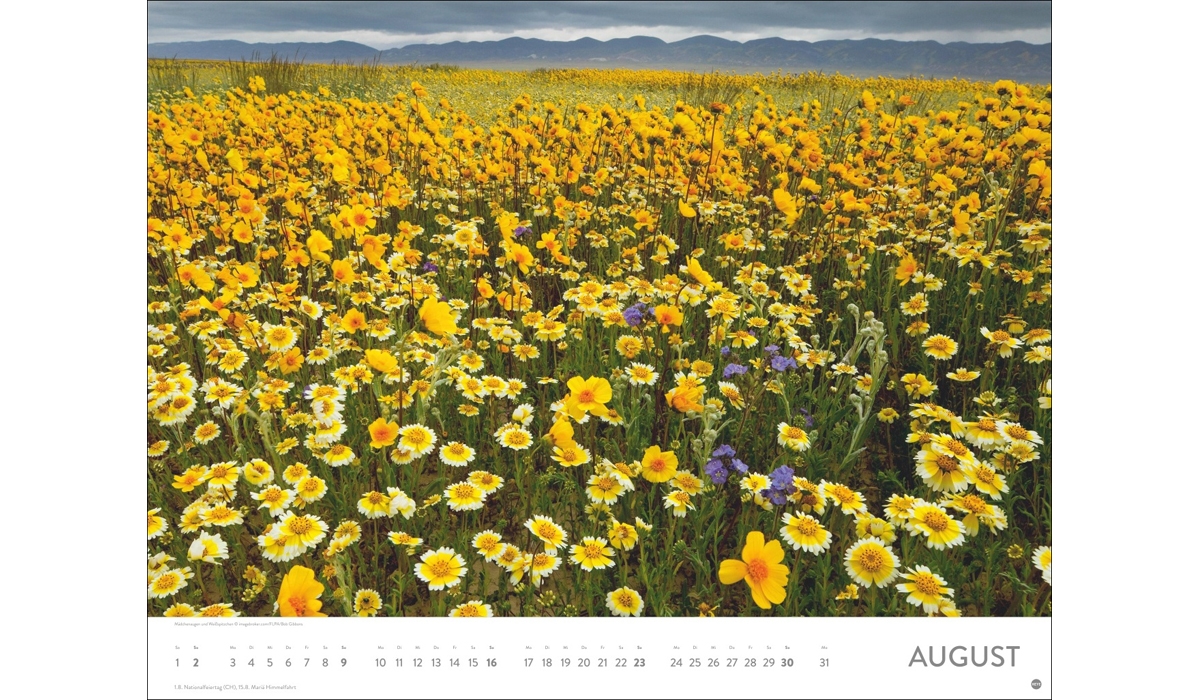 advertising calendar: Sea of flower poster calendar 2026