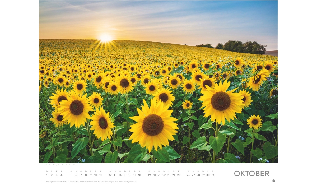 advertising calendar: Sea of flower poster calendar 2026