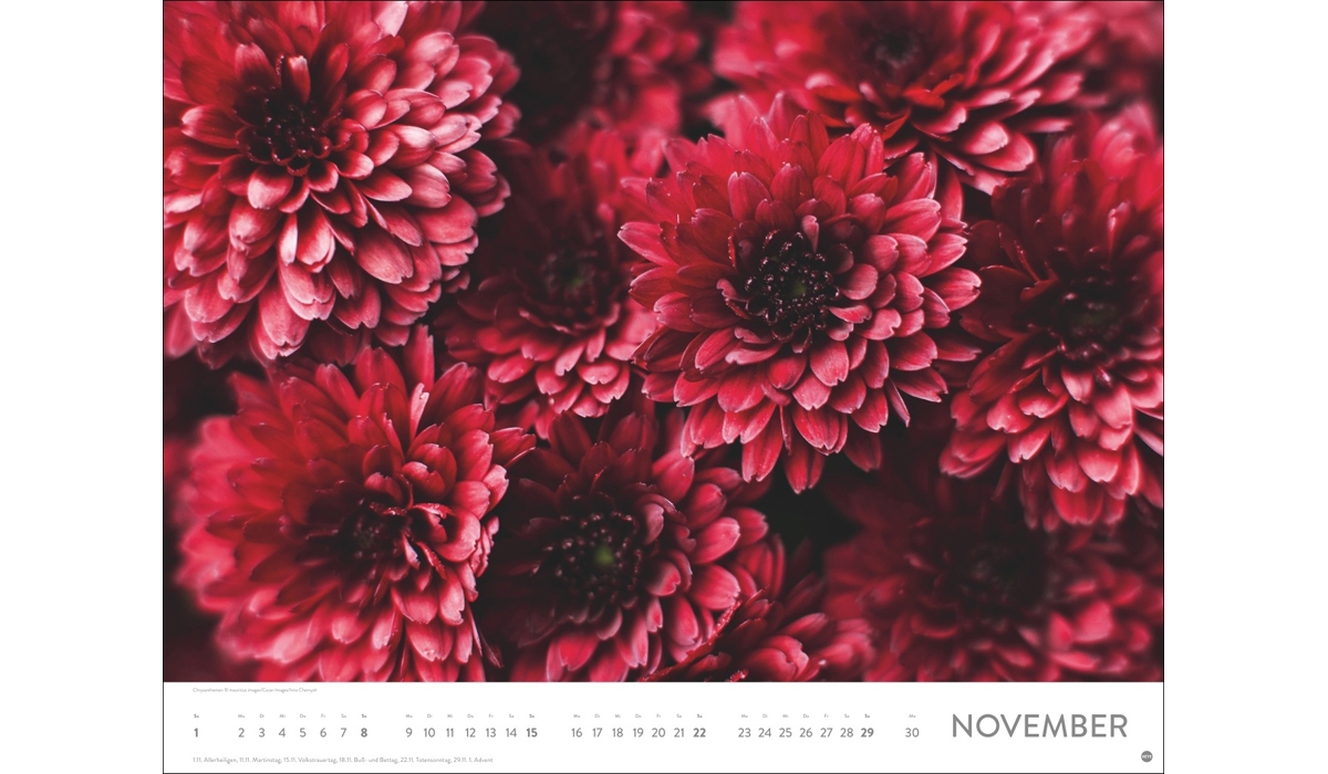 advertising calendar: Sea of flower poster calendar 2026