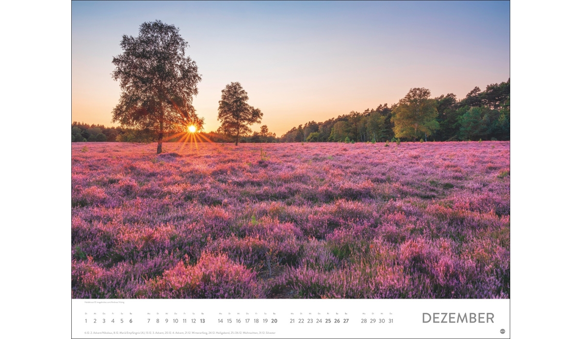 advertising calendar: Sea of flower poster calendar 2026