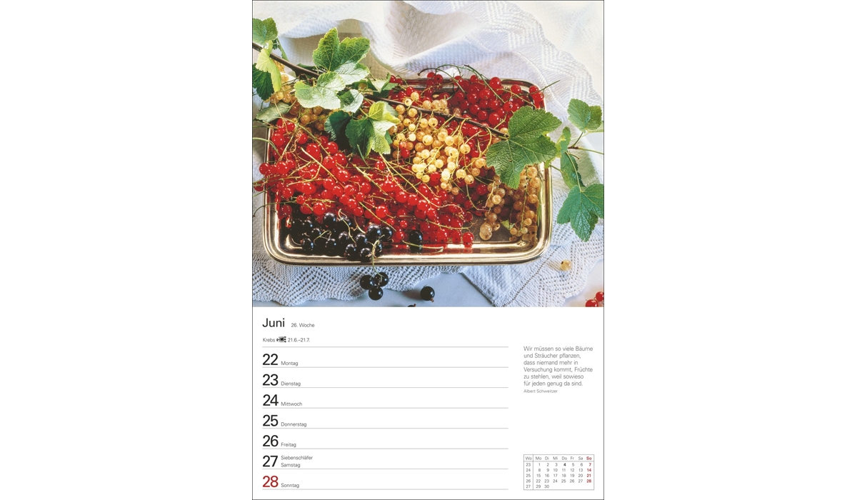 advertising calendar: Kitchen calendar weekly planner 2026