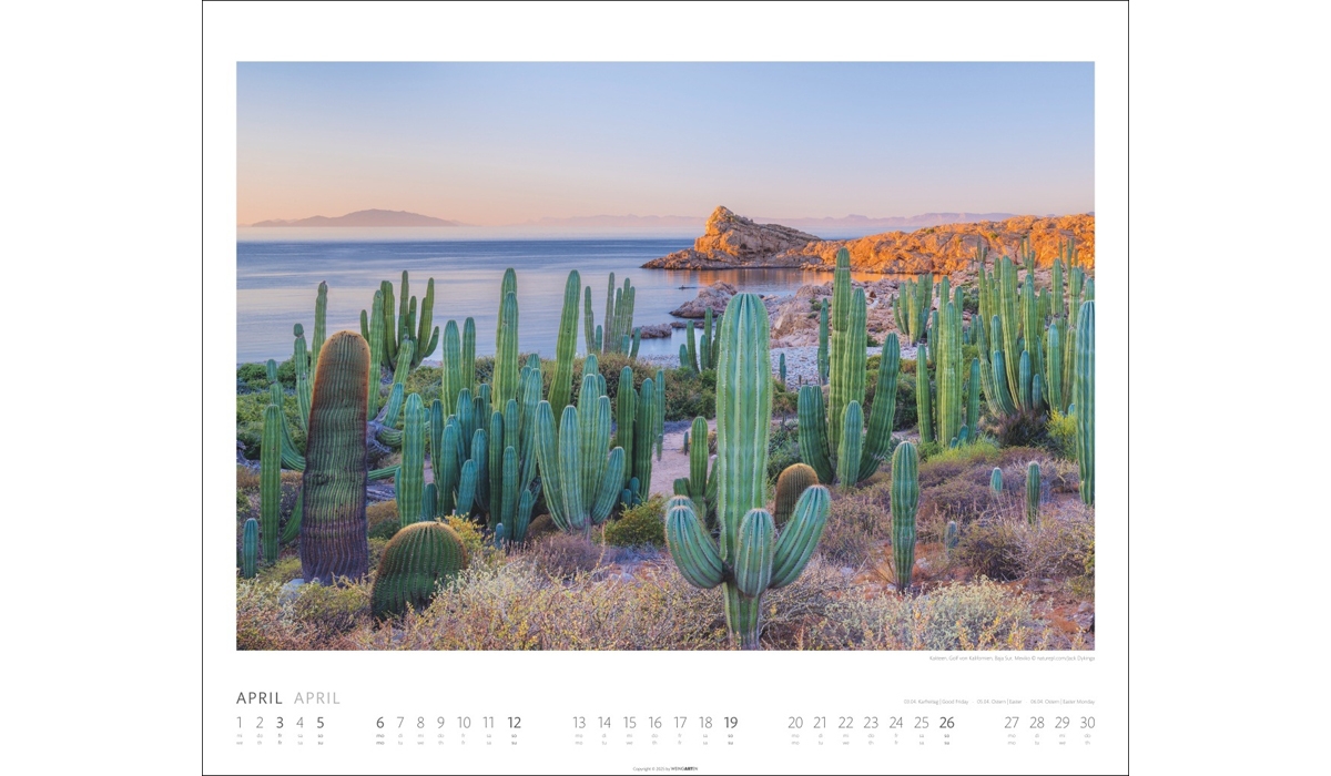 advertising calendar: Planet Earth 2026