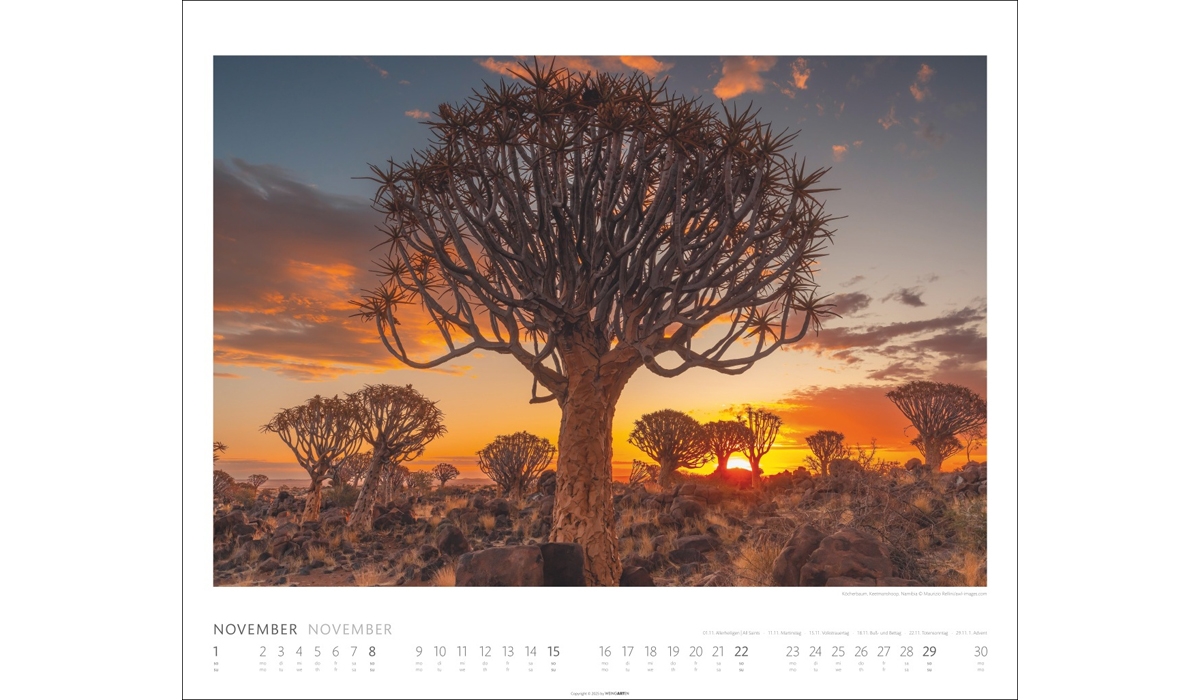 advertising calendar: Planet Earth 2026