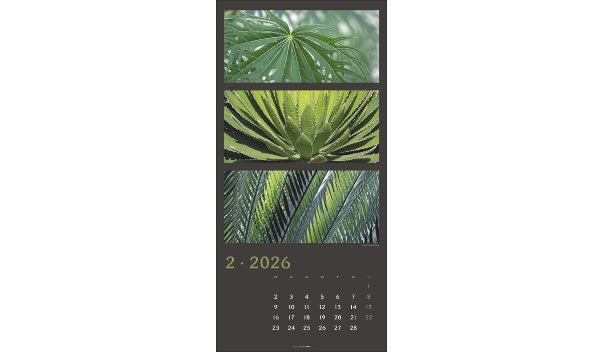 advertising calendar: Colors Of Nature 2026