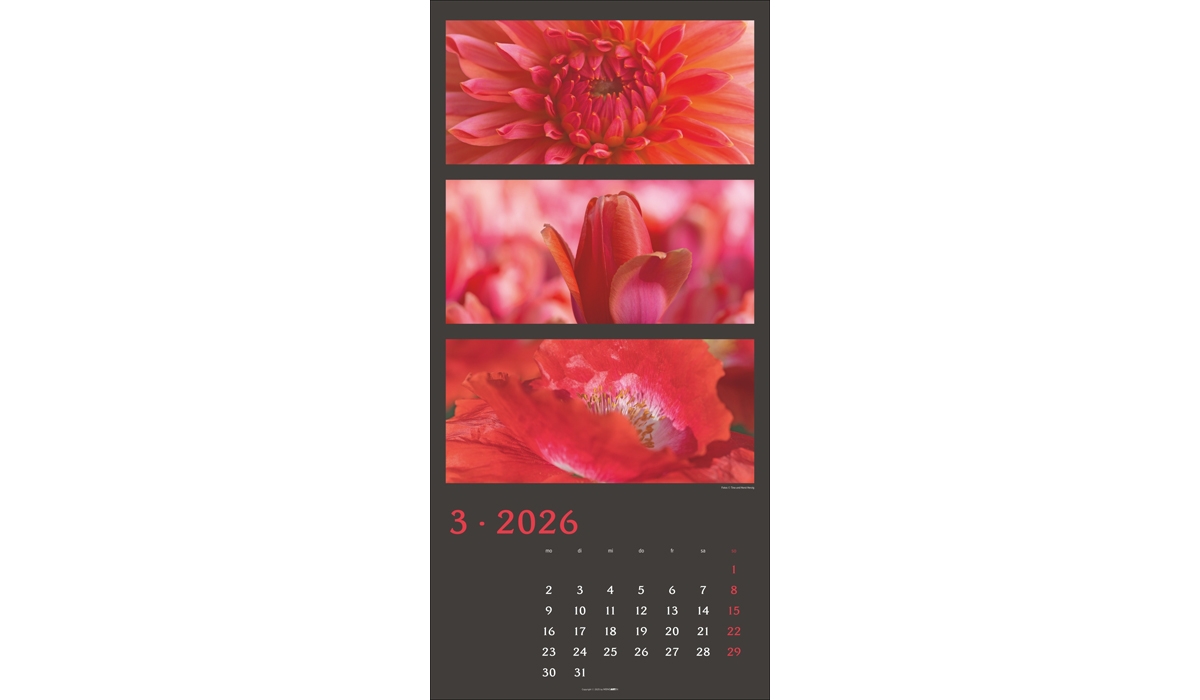advertising calendar: Colors Of Nature 2026