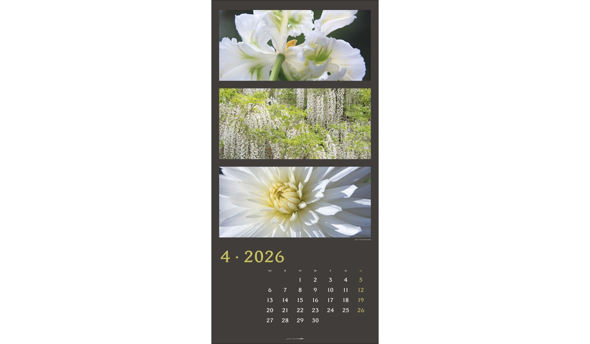 advertising calendar: Colors Of Nature 2026