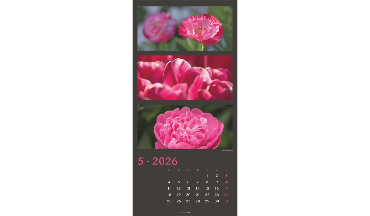 advertising calendar: Colors Of Nature 2026