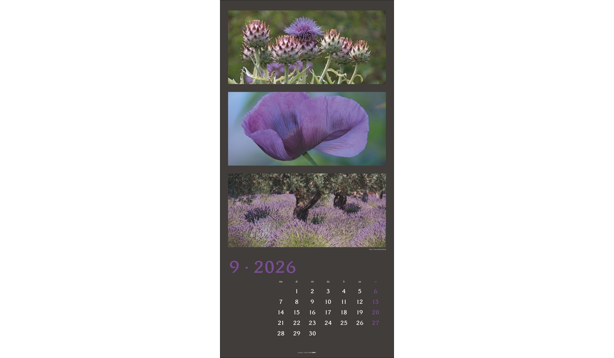 advertising calendar: Colors Of Nature 2026
