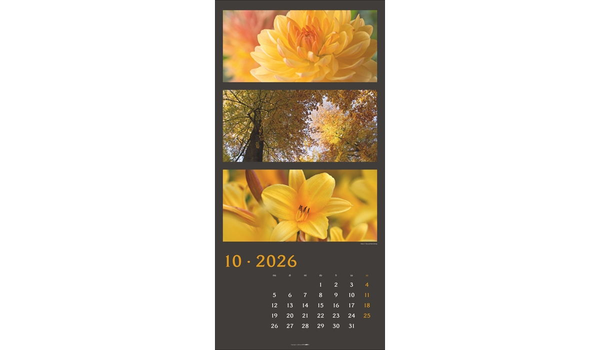advertising calendar: Colors Of Nature 2026