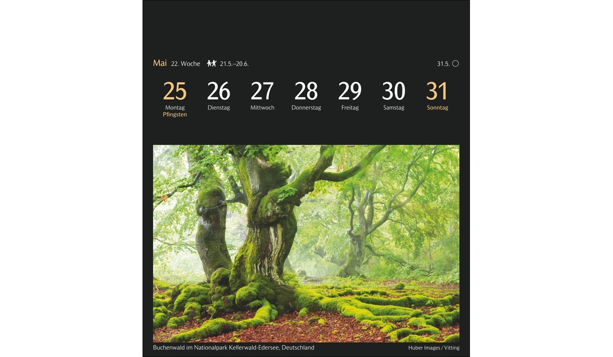 advertising calendar: The world in colors of postcard calendar 2026