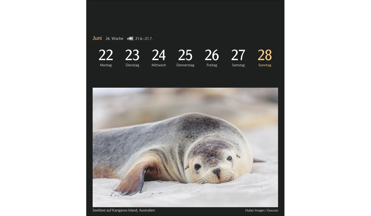 advertising calendar: The world in colors of postcard calendar 2026