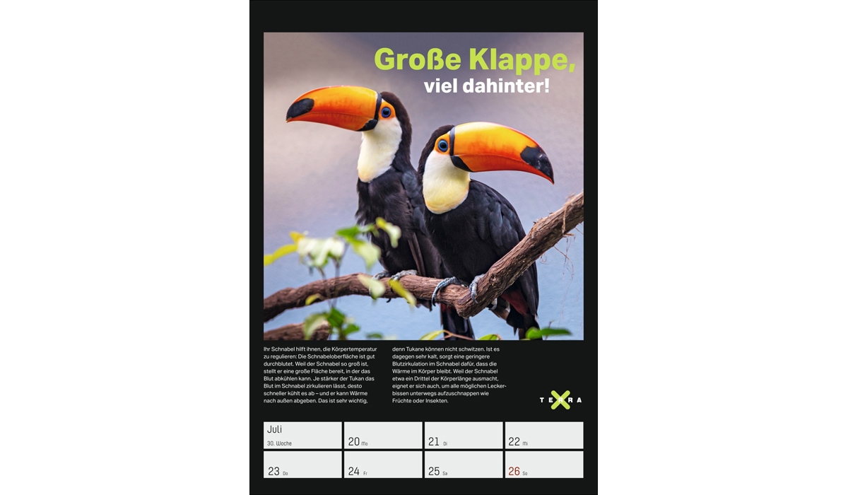 Werbekalender: Terra X - Das Wunder Erde Wochenplaner 2026