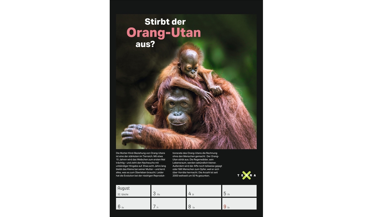 Werbekalender: Terra X - Das Wunder Erde Wochenplaner 2026
