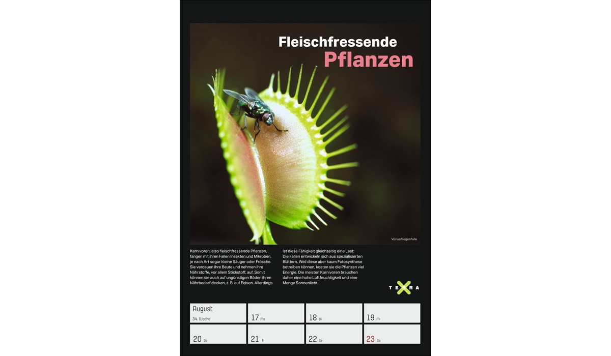Werbekalender: Terra X - Das Wunder Erde Wochenplaner 2026