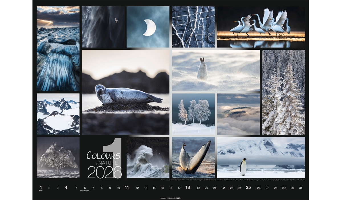 advertising calendar: Colors Of Nature 2026