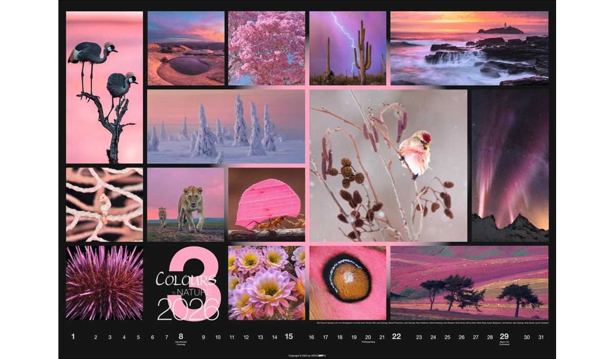 advertising calendar: Colors Of Nature 2026
