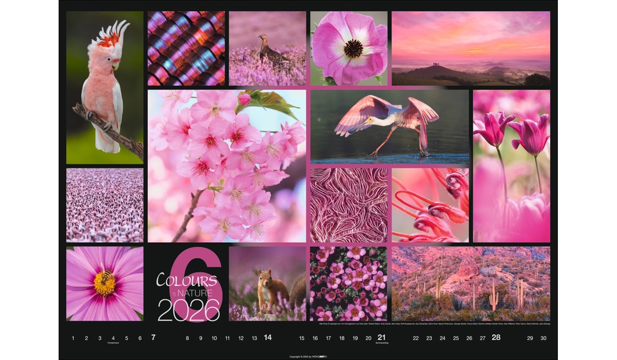 advertising calendar: Colors Of Nature 2026