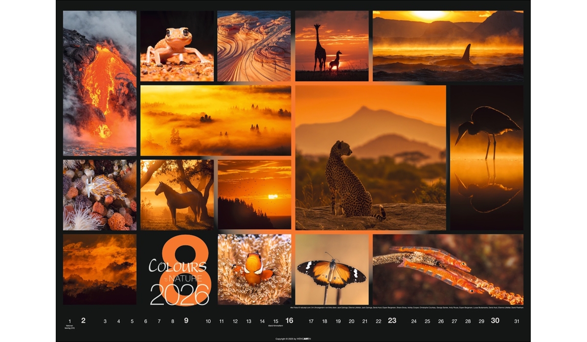 advertising calendar: Colors Of Nature 2026