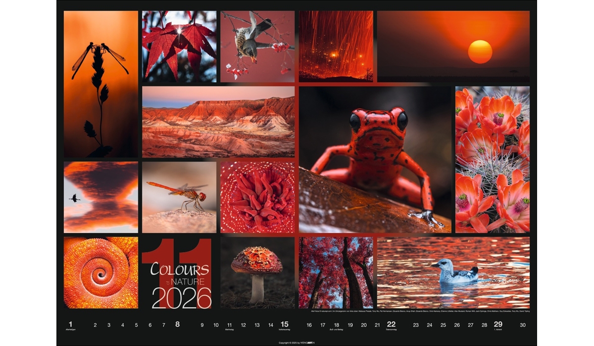 advertising calendar: Colors Of Nature 2026