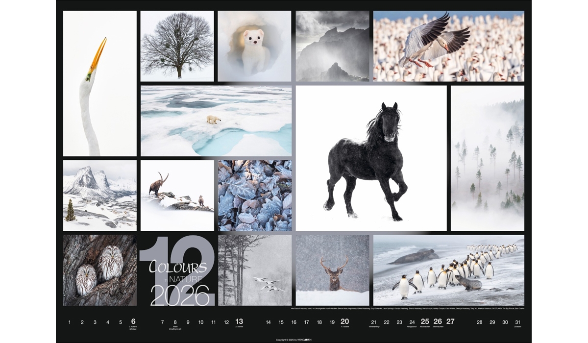 advertising calendar: Colors Of Nature 2026