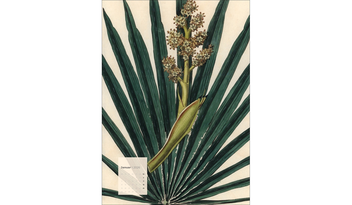 advertising calendar: Botanicals 2026